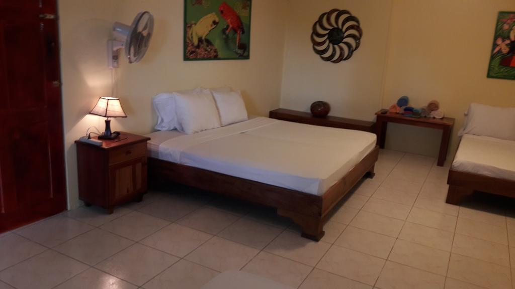 Jungle Villa Manuel Antonio Quarto foto