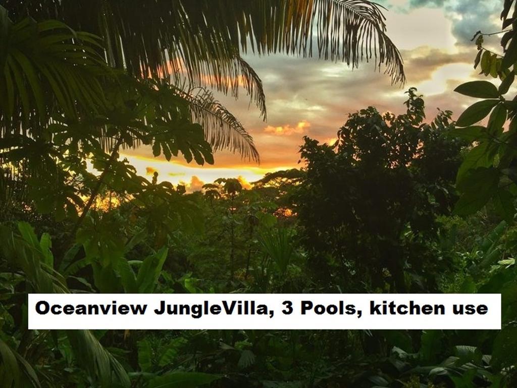 Jungle Villa Manuel Antonio Exterior foto