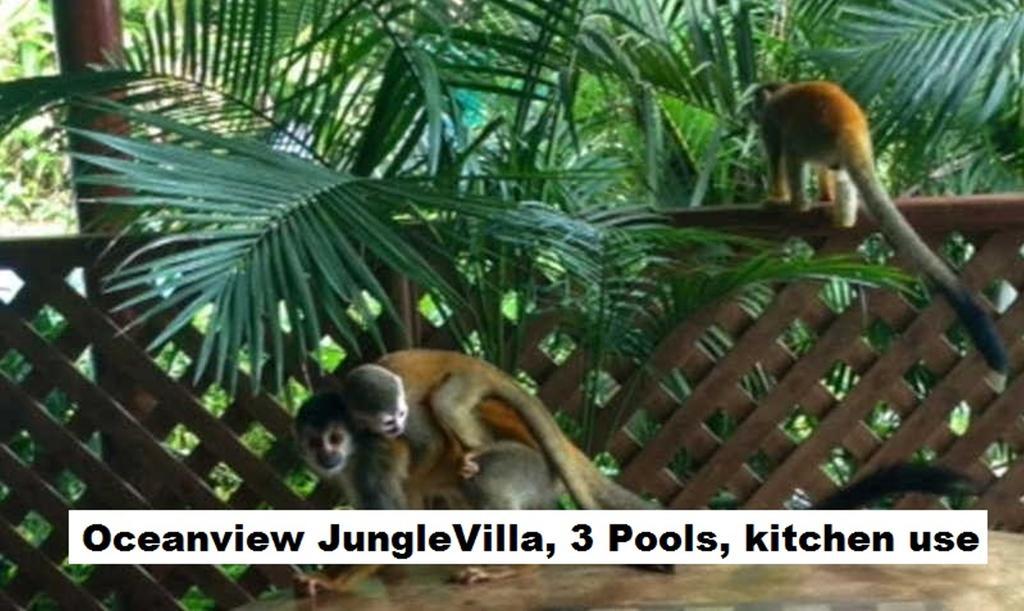 Jungle Villa Manuel Antonio Exterior foto
